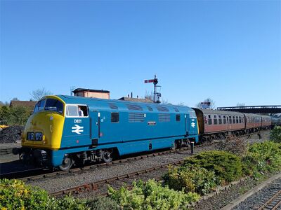 2025: D821 Greyhound.