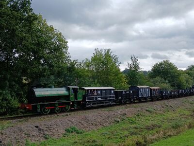 2025: Autumn Steam Gala Demonstration Goods Train