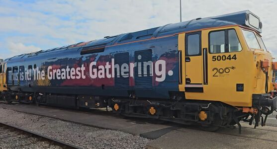 50044