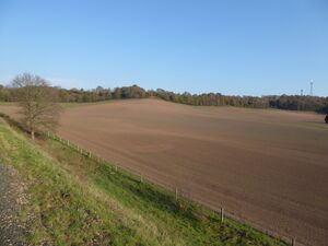2021: Bewdley International Airport