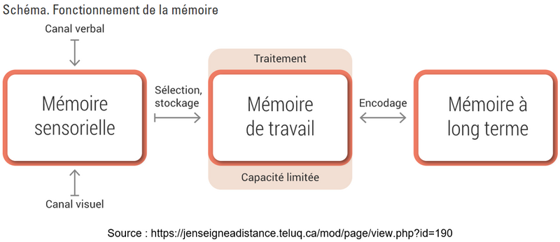 Fichier:Schéma mémoire.PNG