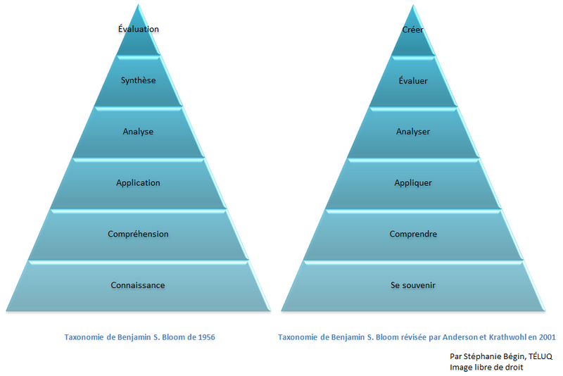 Fichier:Comparaison Taxonomie.png