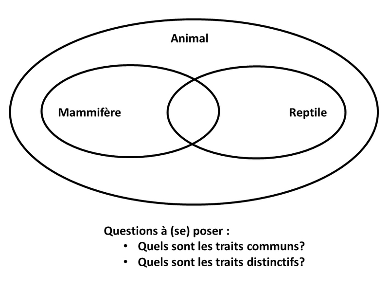 Fichier:Cercles concept fig1.PNG