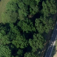 File:Demo train dataset example image.png