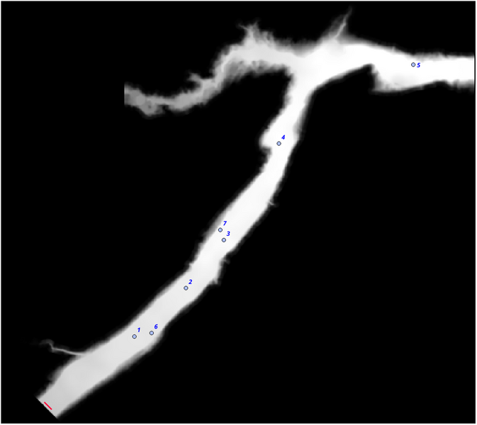 File:Dem used case5 ukbm.png