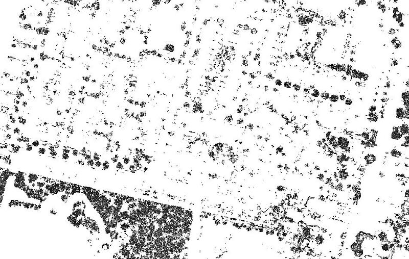 File:Foliage raster data.JPG