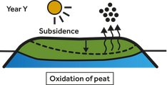 3: Oxidation is dependent on configured climate model, high- and low ground water levels, peat fraction and clay thickness.