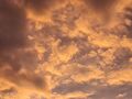 Vorschaubild der Version vom 18:54, 13. Jul. 2025