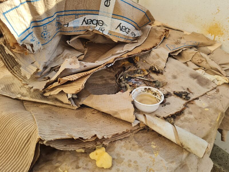 Datei:20240704 195535.jpg