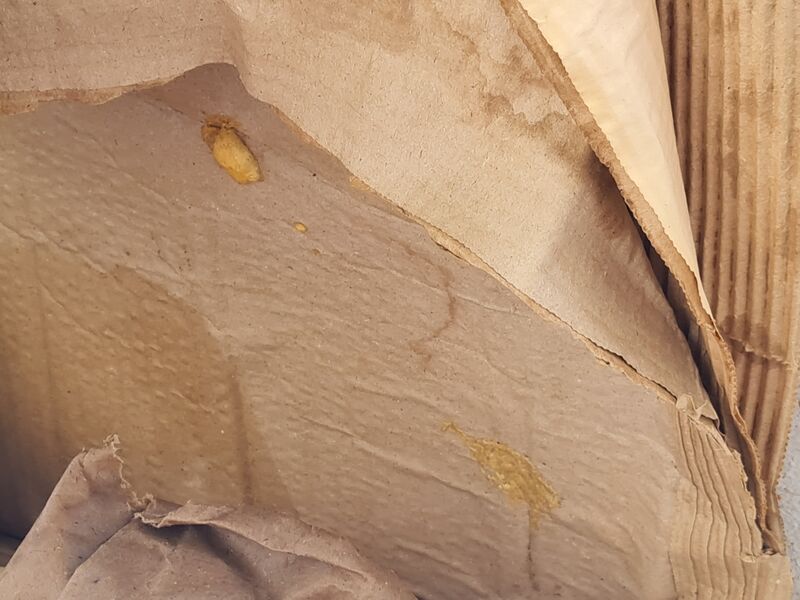 Datei:20240630 173311.jpg