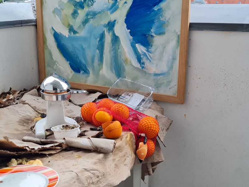 Datei:20240703 202424.jpg