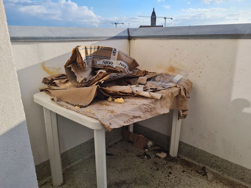 Datei:20240704 195443.jpg