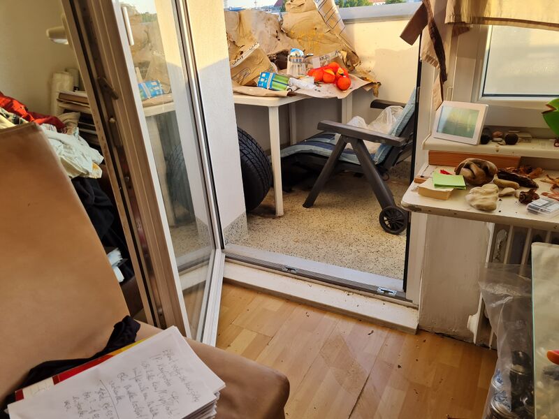 Datei:20240624 204120.jpg