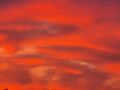 Vorschaubild der Version vom 19:29, 21. Jun. 2026
