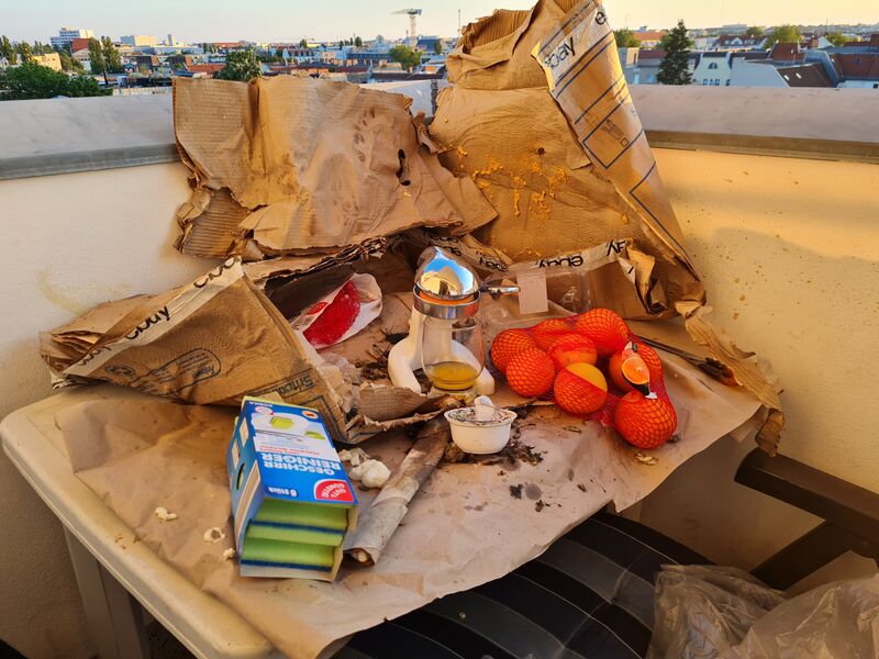 Datei:20240624 210124.jpg