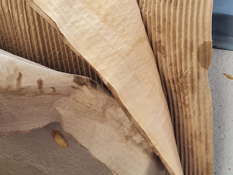 Datei:20240630 173325.jpg