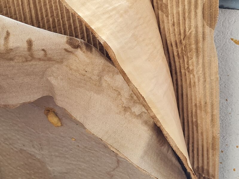 Datei:20240630 173317.jpg