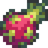 File:Dragon Fruit.png