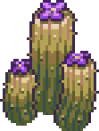 SHMGDesertCactus5a.png