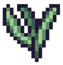 Seaweed