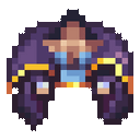 Celestial Seer Coat