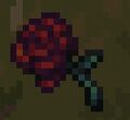 Thumbnail for version as of 02:58, 7 September 2025