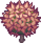 SHMG tumbleweedbush pink dark.png