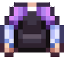 Purple Vest