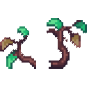 Leafy Lurker Branch
