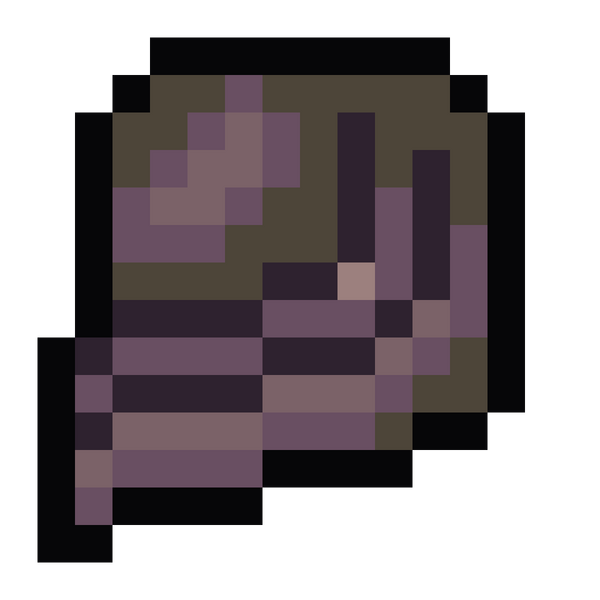 File:Wanderer's Encoded Cloak.png
