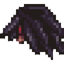 Raven Worshipper Coat