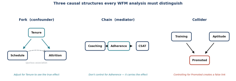File:Causal-DAGs-WFM.png